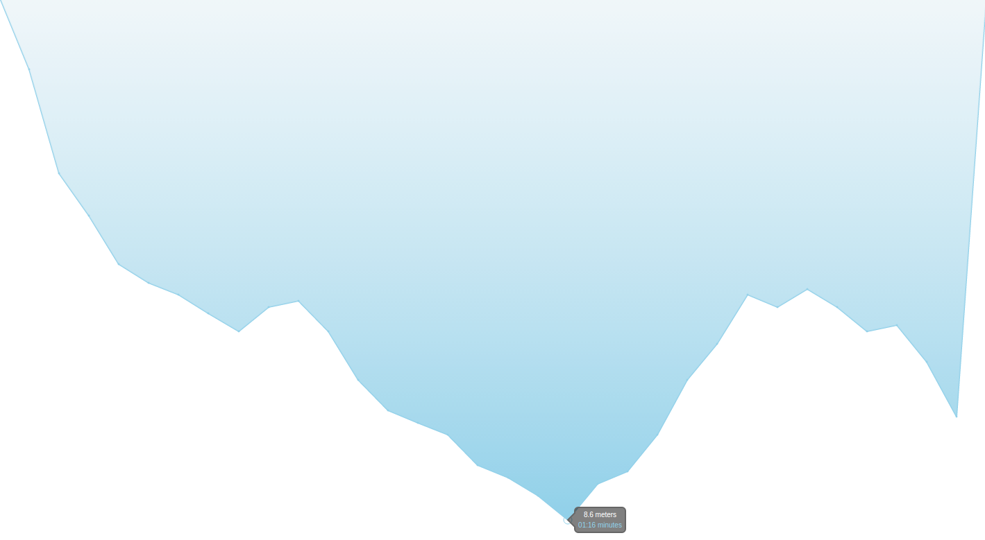 Profile of the partial success dive